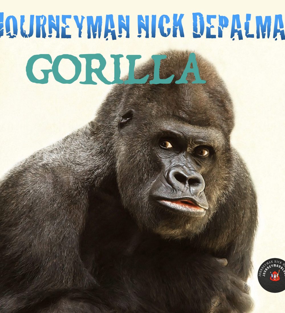 Gorilla1.001